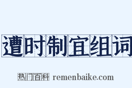 遭时制宜组词是什么意思的图片